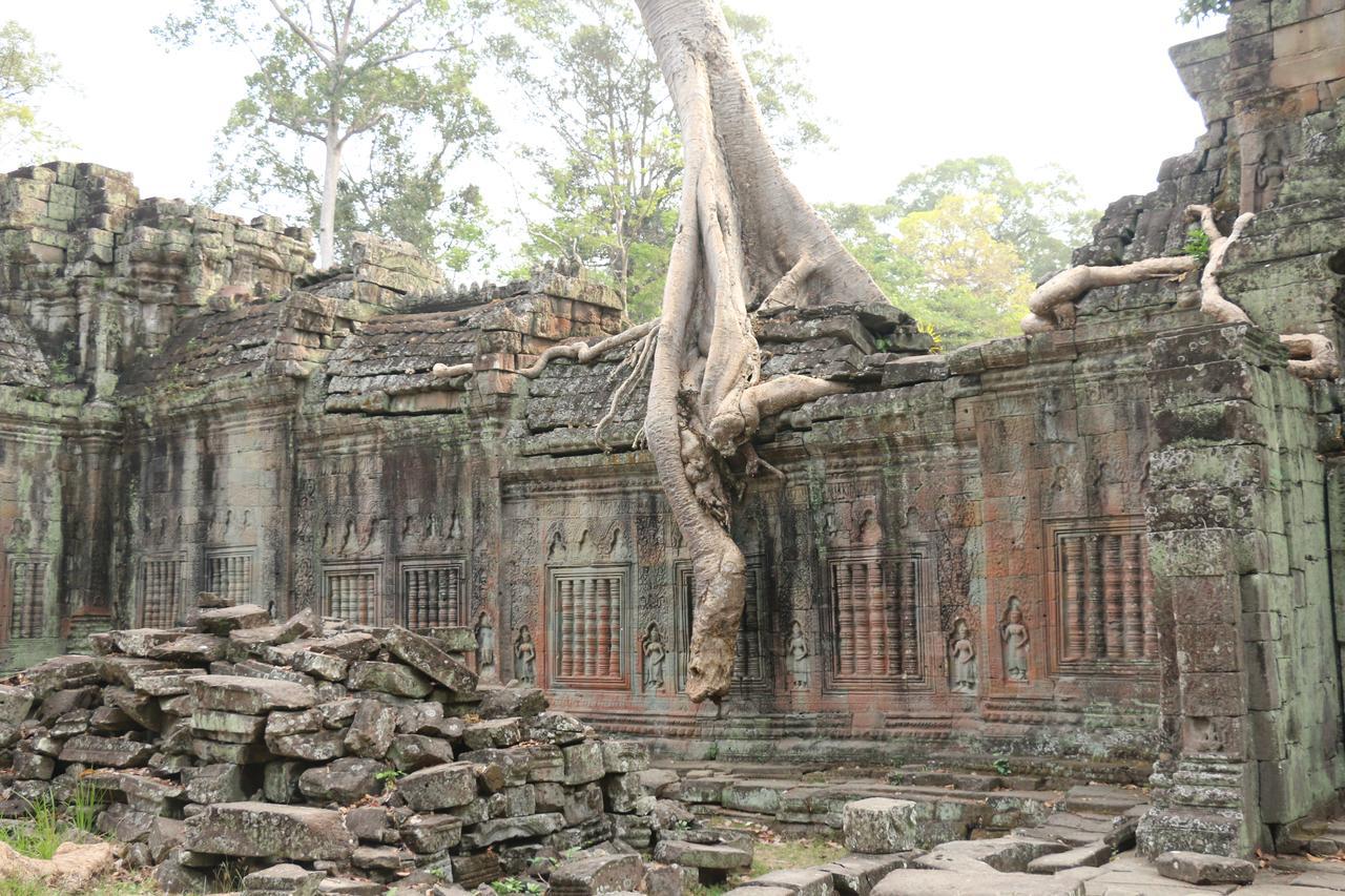 Vilada Angkor Boutique เสียมราฐ ภายนอก รูปภาพ