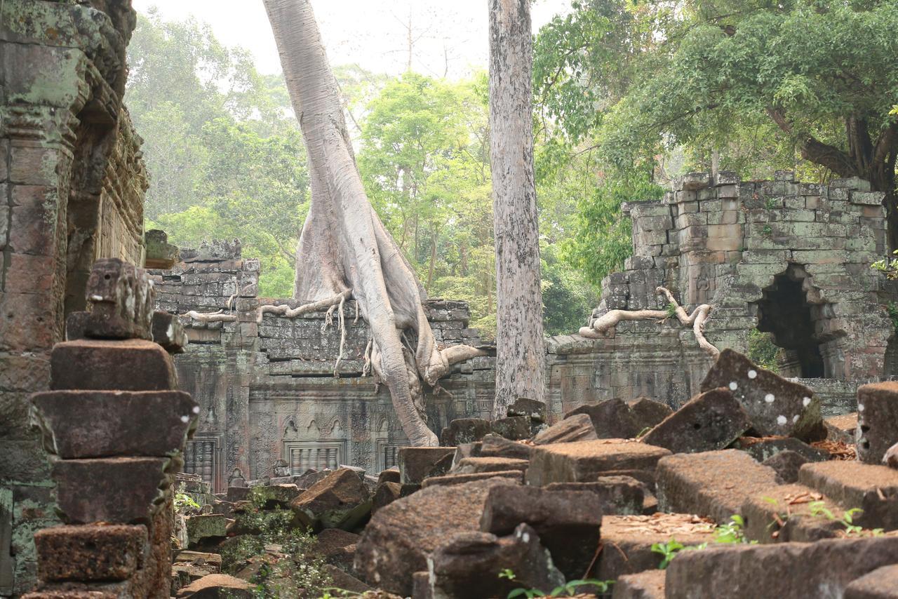 Vilada Angkor Boutique เสียมราฐ ภายนอก รูปภาพ