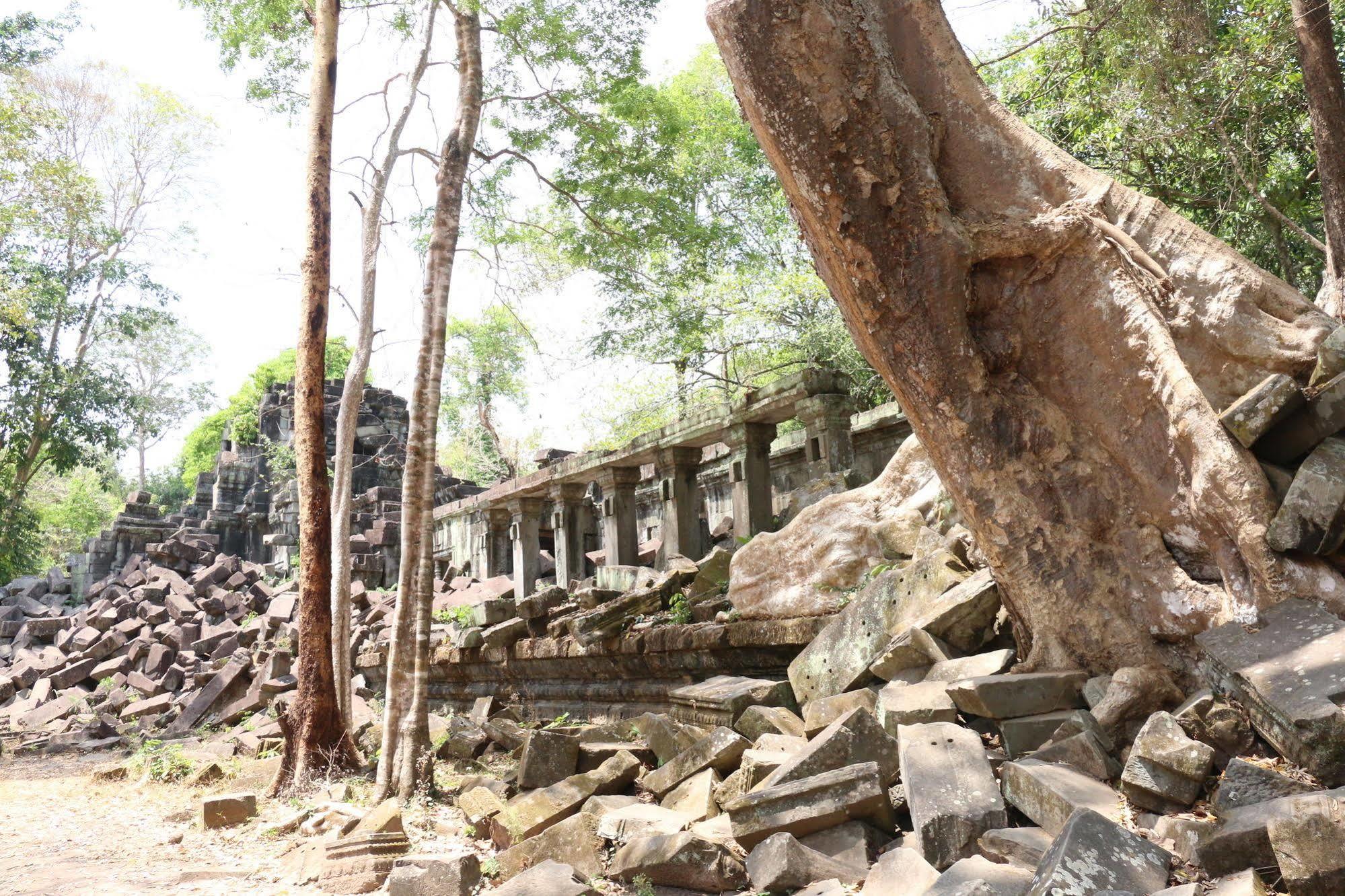 Vilada Angkor Boutique เสียมราฐ ภายนอก รูปภาพ